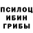 Галлюциногенные грибы Cubensis Alinur Erkinuly