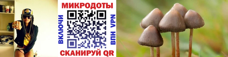 Псилоцибиновые грибы мицелий  купить закладку  Рудня 