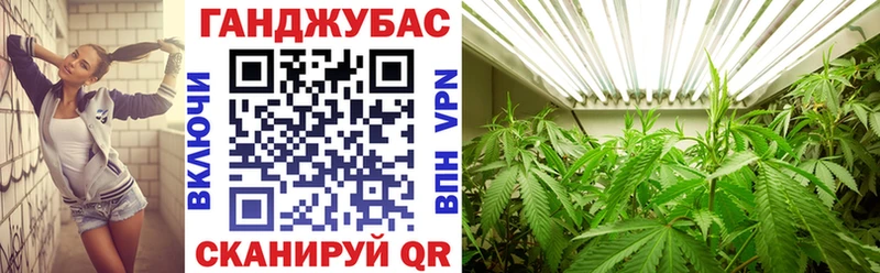 МАРИХУАНА ГИДРОПОН  сколько стоит  Рудня 